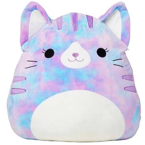How to Display Your Magical Cat Squishmallows